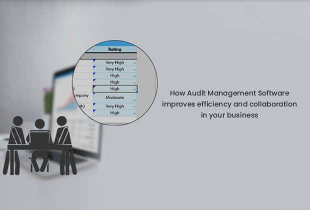 Audit Management Software