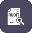 audit icon