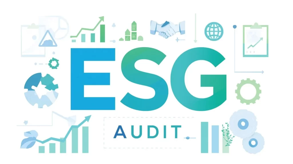 What Is An ESG Audit
